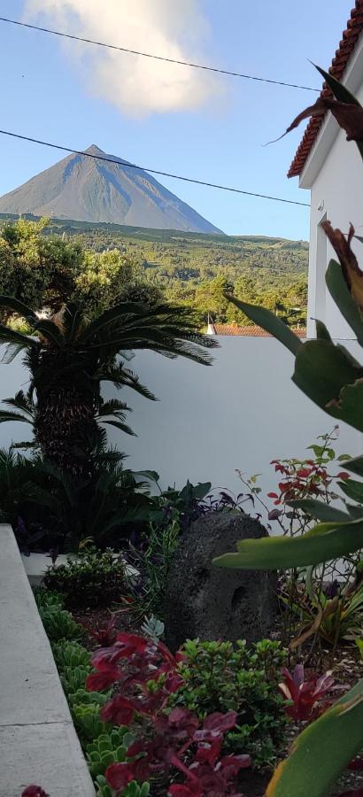 Casa Da Avo Biza Villa Sao Roque do Pico Luaran gambar